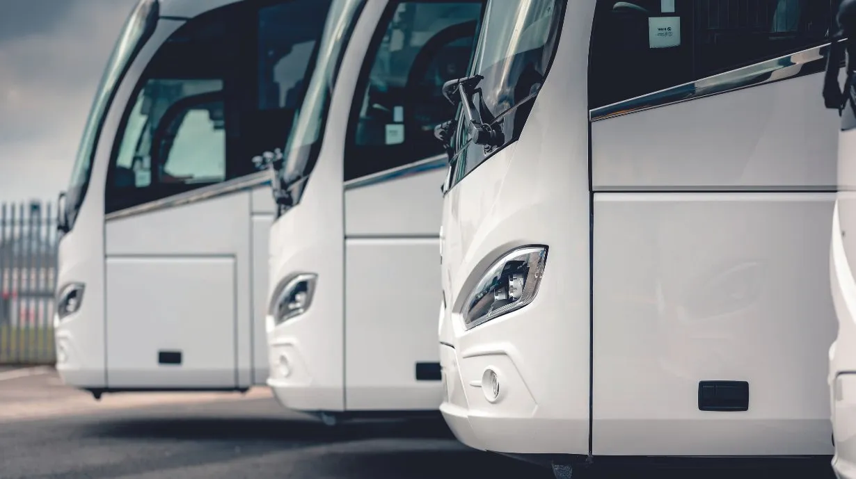 White coaches lined up