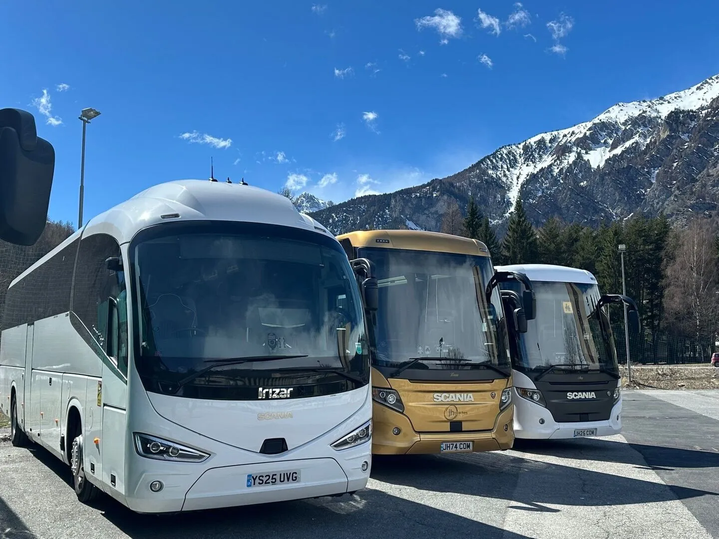 White Coaches lined up