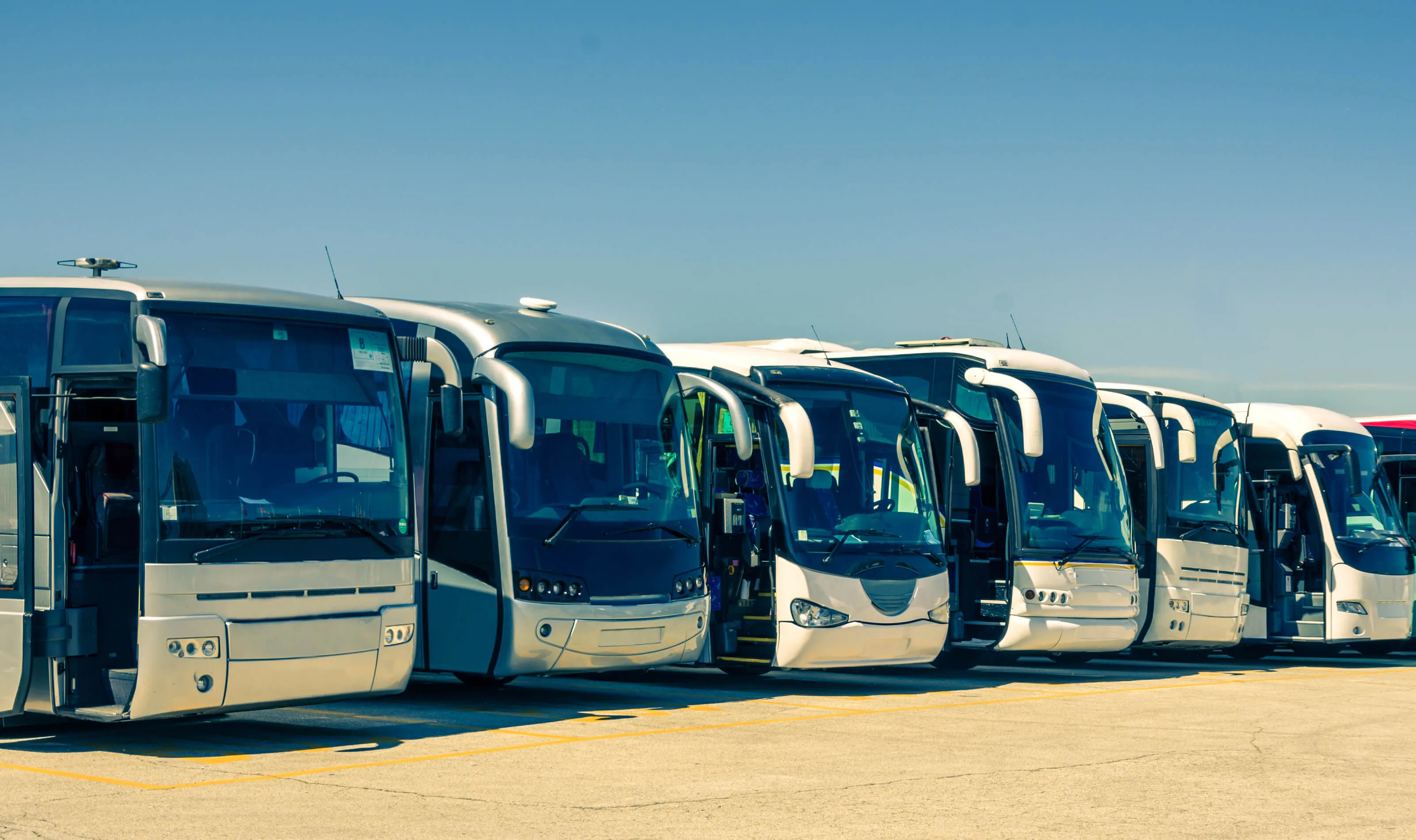 touristic buses